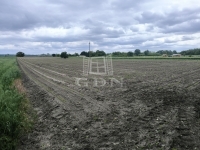 Pócsmegyer Mezőgazdasági terület - 5.900.000 Ft