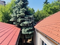 Budapest X. kerület Частный дом 8