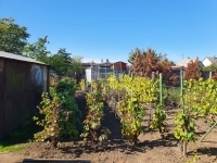 Ercsi 家庭别墅 11