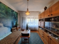 Ercsi 家庭别墅 4