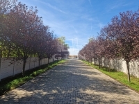 Kisapostag 工业区域 26