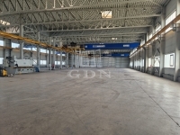 Miete lager Kisapostag, 4000m2