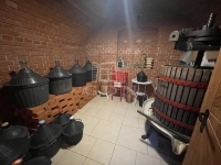 Balatonfüred 家庭别墅 29