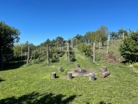 Balatonfüred 家庭别墅 27