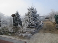 Pákozd Family House 7