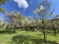 Biatorbágy Частный дом 29