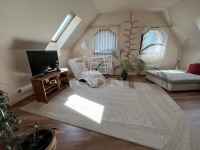 Veresegyház 家庭别墅 20