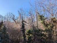 Budapest II. kerület Lakás (téglaépítésű) 5