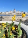 Eladó lakás Budapest, I. kerület, 93m2