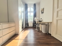 Budapest VI. kerület 公寓房（砖头） 9