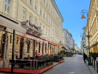 Budapest VIII. kerület 公寓房（砖头） 22