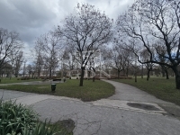 Budapest XV. kerület Lakás (panel) 12