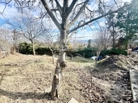 Szentendre 家庭别墅 18