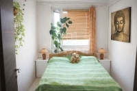 Budapest XIV. kerület Квартира (панель) 11