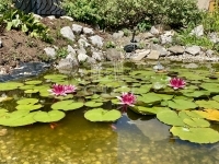 Szombathely 家庭别墅 22