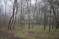 Döröske 农业区域 8