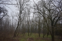 Döröske 农业区域 9