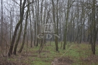 Döröske 农业区域 7