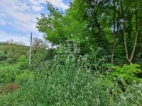 Isaszeg 土地 0