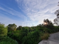 Isaszeg 土地 6