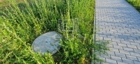 Pilisborosjenő 公关公寓 1