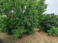 Isaszeg 夏季别墅 20