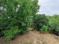 Isaszeg Family House 17