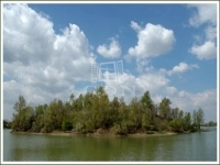 Délegyháza 土地 2