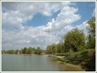 Délegyháza 土地 6