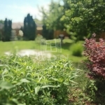 Balatonszabadi Vendéglátás 7