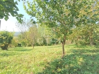 Zalaegerszeg Nyaraló 29