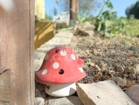 Zalaegerszeg Nyaraló 34