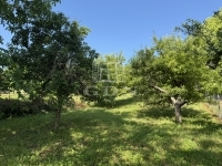 Zalaegerszeg 夏季别墅 32