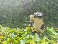 Zalaegerszeg 家庭别墅 19