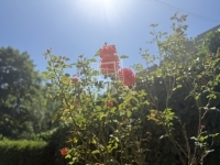 Zalaegerszeg 家庭别墅 67