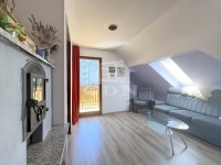 Zalaegerszeg 家庭别墅 55