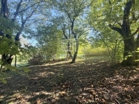 Zalaegerszeg Building lot 3