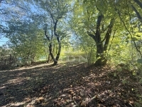 Zalaegerszeg Building lot 9