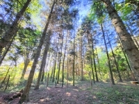 Babosdöbréte 家庭别墅 36