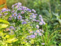 Babosdöbréte 家庭别墅 25