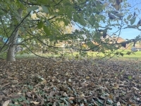 Teskánd Family House 42