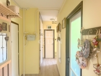 Zalaegerszeg Flat (brick) 2