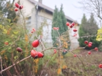 Gellénháza 家庭别墅 58