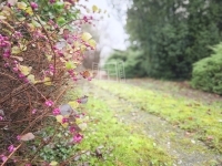 Gellénháza 家庭别墅 57