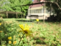 Zalaegerszeg 家庭别墅 2