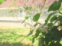 Zalaegerszeg 家庭别墅 3