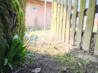 Csatár Családi ház 29