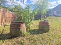 Mikosszéplak 家庭别墅 22