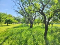 Zalaegerszeg Családi ház 23