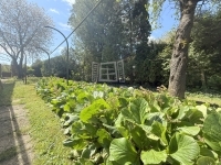 Zalaegerszeg Családi ház 9